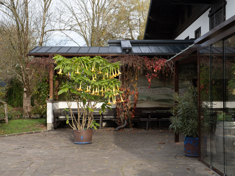 Gastgarten Atmosphäre